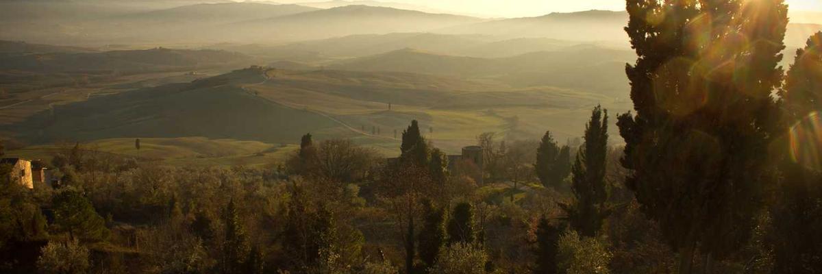 Geological services in field